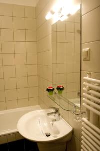 奥多尔黑塞库耶斯克Hotel - Restaurant Gonduzo的一间带水槽、浴缸和镜子的浴室