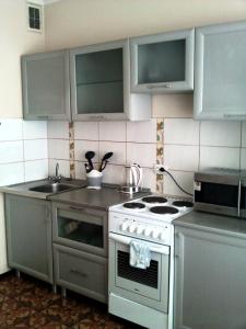 Apartment NG Na Chertygasheva的厨房或小厨房
