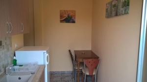 奥林匹亚基·阿克蒂帕拉迪厄姆公寓的一间带桌子和冰箱的小厨房