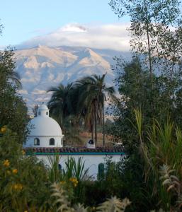 奥塔瓦洛棕榈树宾馆的一座白色的建筑,背后是棕榈树和山脉
