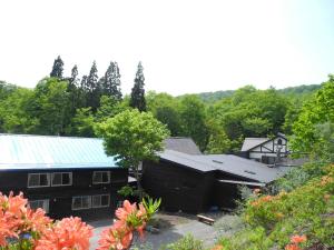 十和田谷地温泉日式旅馆的享有绿色屋顶房屋的空中景致