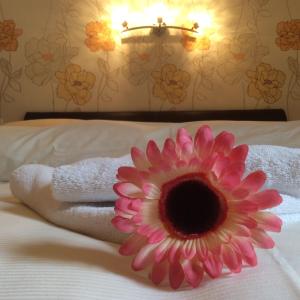 维安登Bed & Breakfast du Château的床上一朵粉红色的花