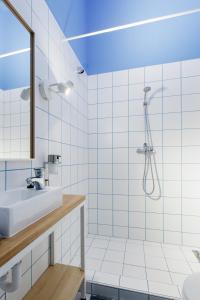 布达佩斯艾沃宁旅馆的一间带水槽和淋浴的浴室