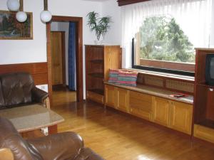 卢布尔雅那塔夫卡尔膳食公寓的带沙发和电视的客厅