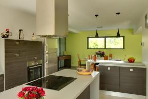 BoerschLe Gallus的厨房设有绿色的墙壁和木制橱柜。