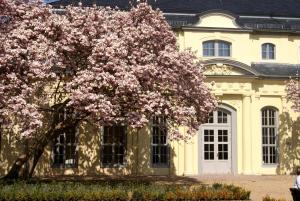 阿尔滕堡Hofgärtnerei的一座建筑物前有粉红色花的树