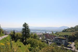 多瑙河畔克雷姆斯Winzerhaus mit Fernblick的享有小镇景色的山丘和建筑