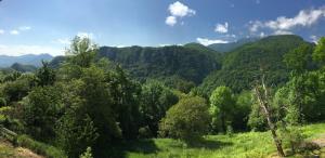 蒙塞居尔Gite de Serrelongue的享有树木和山脉的森林美景