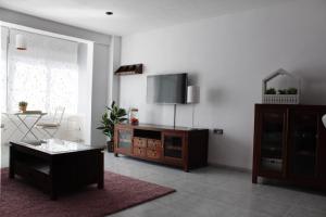 瓦伦西亚甜美卡罗琳公寓的客厅的墙上配有平面电视。