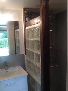 Pierrefitte-en-CinglaisL'Ancien Pressoir的一间带水槽、淋浴和镜子的浴室