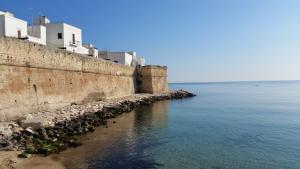 莫诺波利Il Rifugio Sul Mare的海边的石墙,有建筑