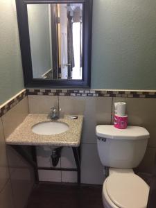 洛杉矶帕克汽车旅馆的一间带卫生间、水槽和镜子的浴室