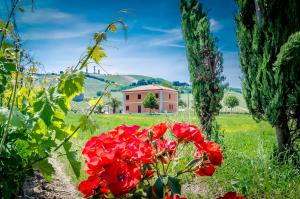 皮内托Agriturismo Agrimare Barba的田间有红花的房子