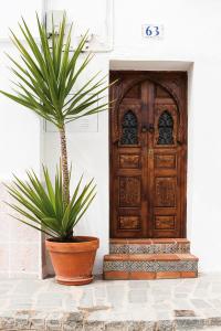 查兹拉德拉谢拉La Andalusi的坐在门前的盆栽植物