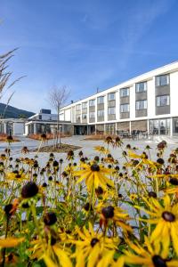 HurdalHurdalsjøen Hotel & Spa的建筑前的一组黄色花