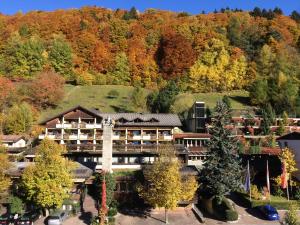 施伦斯阿卡缇弗阿尔彭罗斯温泉酒店的享有山区度假胜地的空中景致