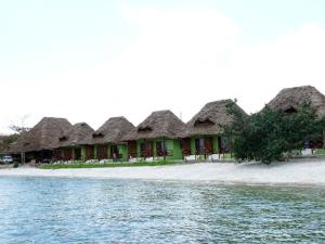WeshaPemba Misali Sunset Beach的海滩上一排茅草屋顶的房屋