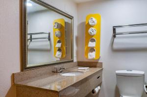 新奥尔良6号新奥尔良汽车旅馆（市中心附近）的一间带水槽、镜子和卫生间的浴室