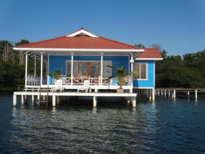 博卡斯德尔托罗Paraiso Escondido的水面上的一个蓝色房子