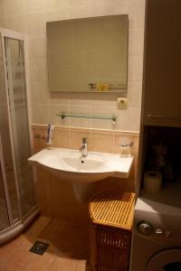 斯韦蒂·斯特凡Cezar Holiday Home的一间带水槽、镜子和淋浴的浴室