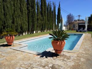 圣布拉什迪阿尔波特尔Casal da Eira的一座房子旁边一座种植了两株盆栽植物的游泳池