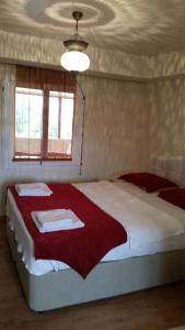 塞尔丘克以弗所塞尔丘克城堡景观套房旅馆的一间卧室配有一张带红色毯子的大床