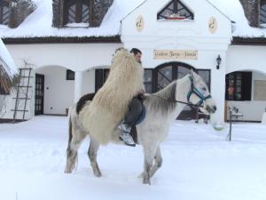 Jakabszállás热代翁坦亚宾馆的骑着马在雪中的人