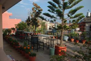 加德满都加德满都马德弗班宾馆的庭院设有桌椅,树木和植物