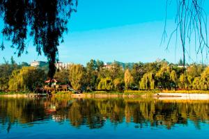 碧瑶维纳斯园景酒店的一座有树木和建筑背景的湖泊