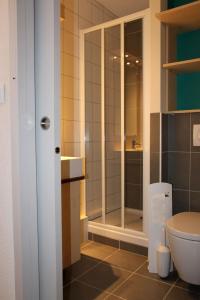 Les MoussièresVillage Vacances Passion Georges Moustaki的一间带卫生间和玻璃淋浴间的浴室