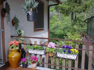 Teriasca拉玛格丽特迪特里亚斯卡住宿加早餐旅馆的阳台上的盆子里放着一束鲜花