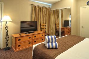 派托普湖畔PVC at The Roundhouse Resort的配有一张床和一台平面电视的酒店客房