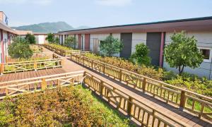 泗川泗川格旅游大酒店的一座有树木和植物的甲板的建筑