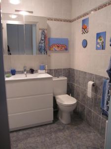 昂代Apartamento con Jardín的一间带卫生间、水槽和镜子的浴室