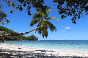 马埃岛贝拉扎尔区绿蓝海滩公寓的海滩上棕榈树上的吊床