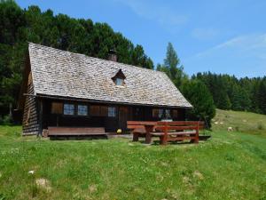 KatschwaldAlmhütte Ödenhübl的小木屋设有野餐桌和长凳