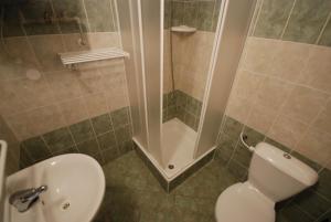 霍尼普拉纳Penzion Lipno Jantar的浴室配有白色卫生间和淋浴。