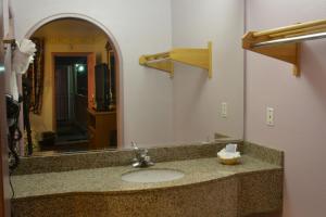 圣何塞The Flamingo Motel San Jose的一间带水槽和镜子的浴室