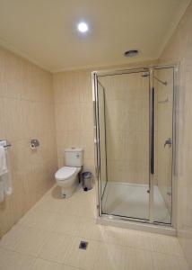 墨累桥默里布里奇柏丽汽车旅馆的带淋浴和卫生间的浴室