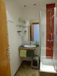 苏尔茨巴赫-罗森贝格Hotel-Gasthof "Zum Bartl"的一间带水槽和淋浴的浴室