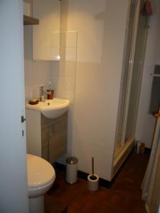 Mouvaux老雪松住宿加早餐旅馆的浴室配有卫生间、盥洗盆和淋浴。