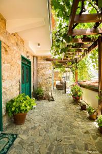 卡洛帕尼亚伊奥蒂斯安斯特传统别墅酒店的户外庭院,设有绿门和盆栽植物