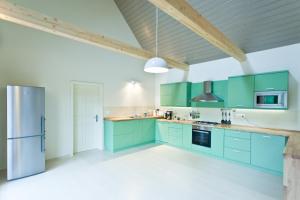 IrotaIrota EcoLodge的厨房配有绿色橱柜和冰箱。