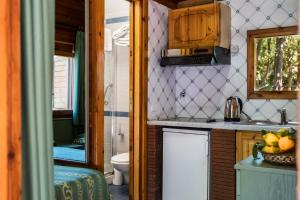 索伦托维拉焦佛得住宿酒店的一间带水槽和卫生间的小厨房