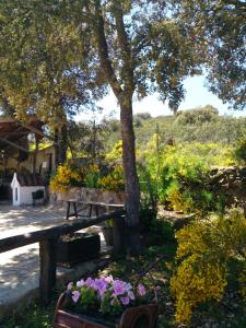 Los Navalucillos瓦尔多拉扎佐乡村民宿的野餐桌和树前的鲜花