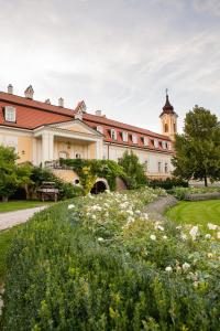 Hotel Château Bela外面的花园