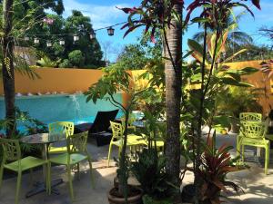 别克斯Casa de Amistad Guesthouse的一个带桌椅的庭院和一个游泳池