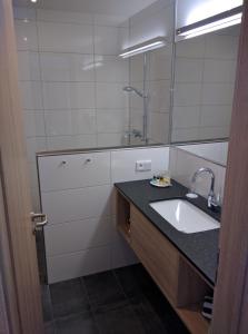 NeuenradeHotel Zur-Borke的一间带水槽和镜子的浴室