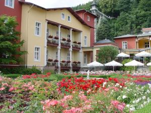 巴特尚道Parkhotel Bad Schandau mit SPA的一座鲜花盛开的酒店