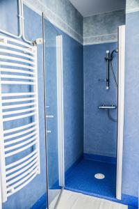 Saint-Didier-en-Velay维雷港度假屋的蓝色的浴室设有玻璃门和淋浴
